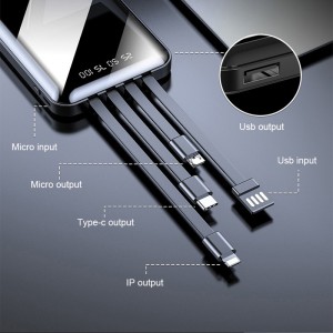 PB-4004 10.000 mAh Powerbank