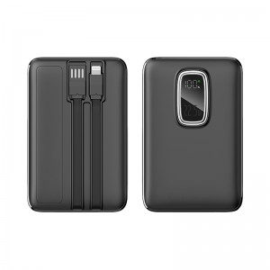 PB-4019 10.000 mAh Powerbank