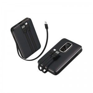 PB-4019 10.000 mAh Powerbank