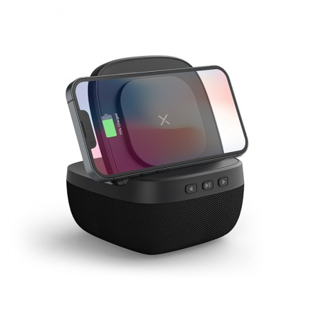 4250 Wireless Şarj & Hoparlör