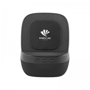 4250 Wireless Şarj & Hoparlör